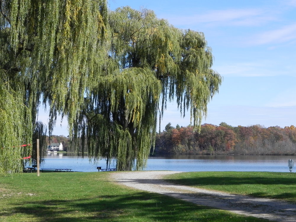 Long Lake Hartland Michigan